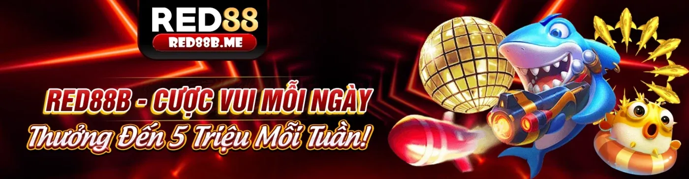 Các loại lợi ích từ nohu 90 code